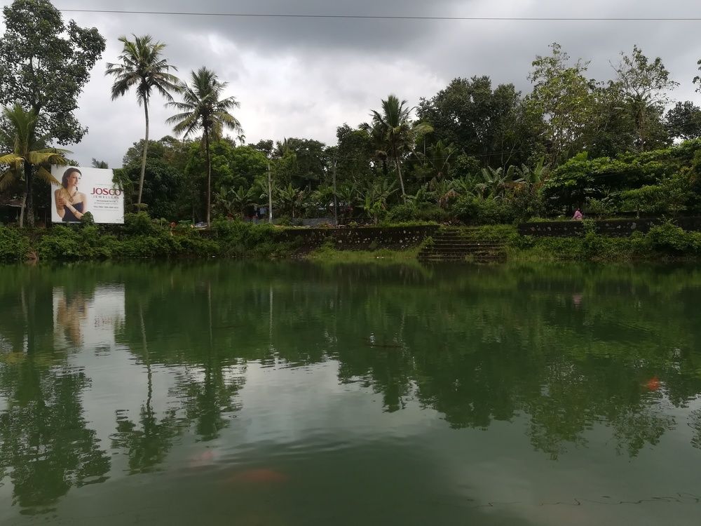Pond