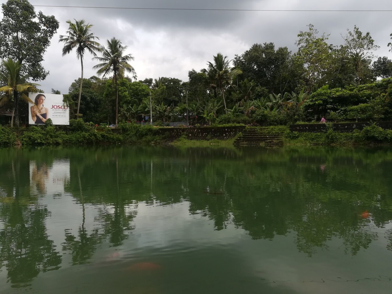 Pond