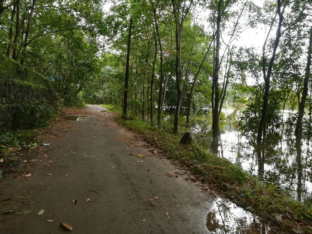 Kerala flood