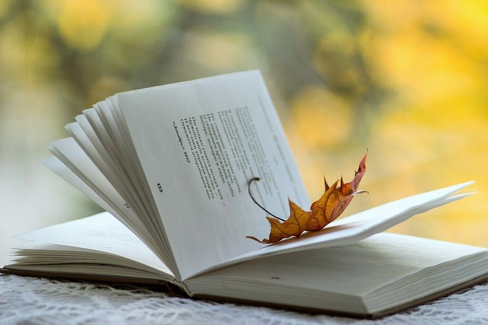 кленовый лист