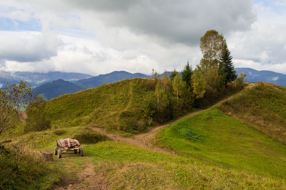Карпатские сюжеты