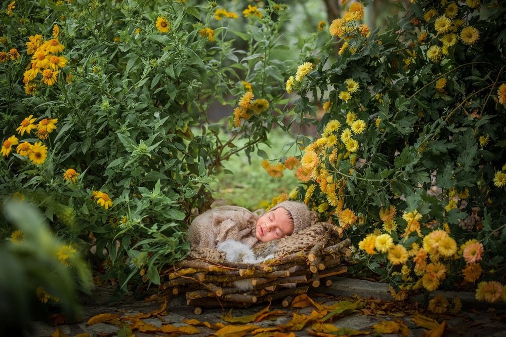 Безмятежность