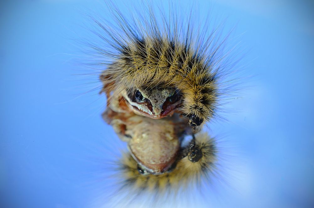 Гляжусь в тебя как в зеркало