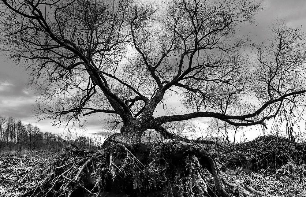 Не устояло...