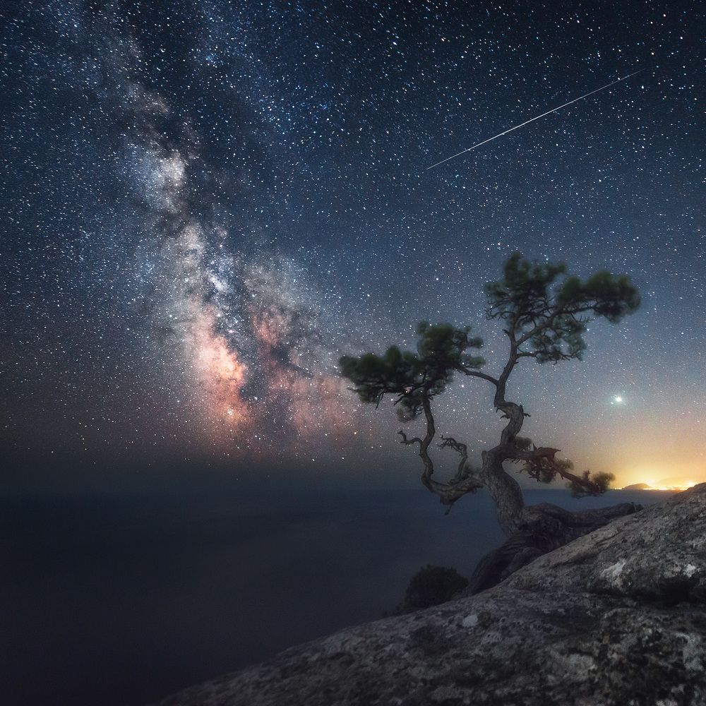 Новый Свет, Крым