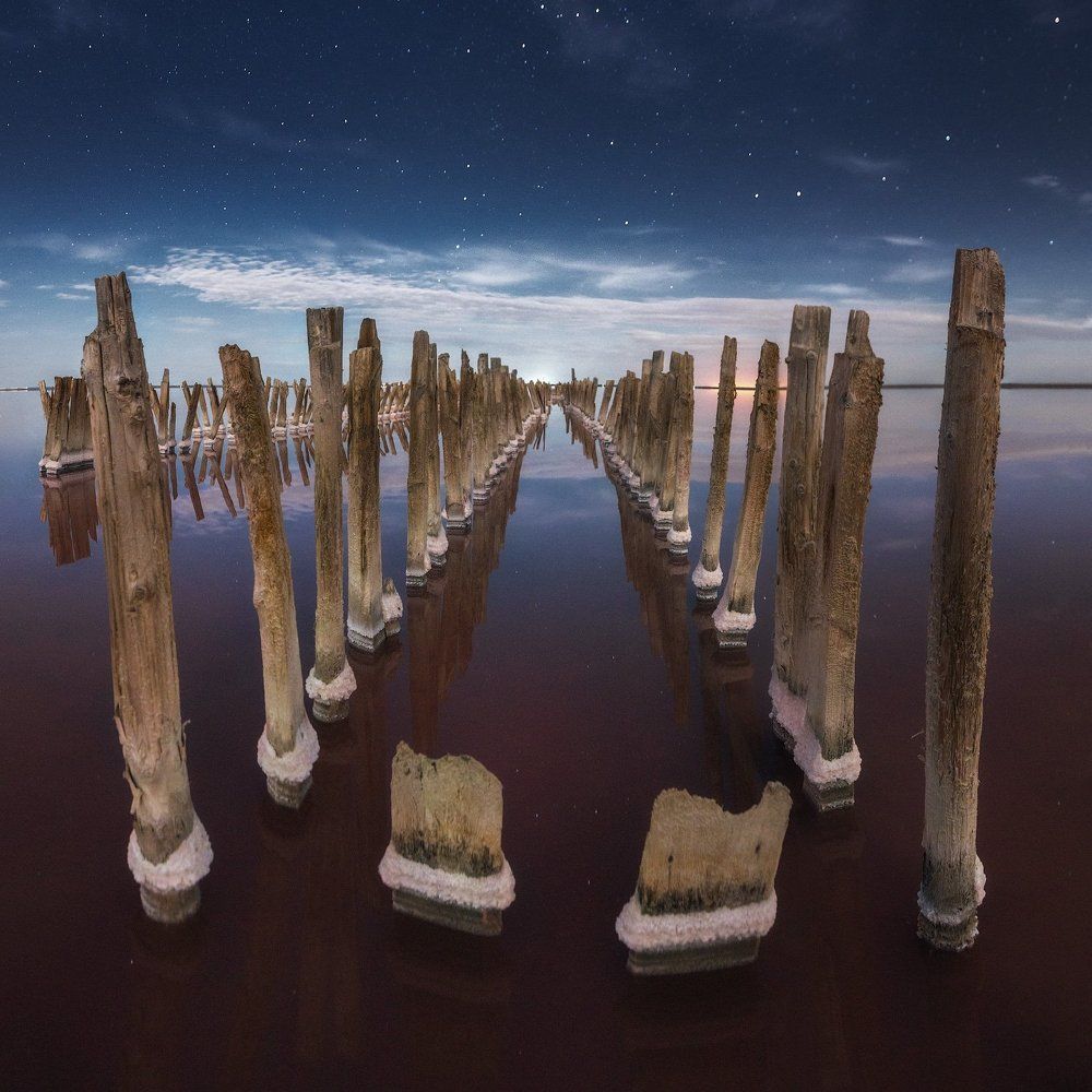 Сасык-Сиваш, Крым