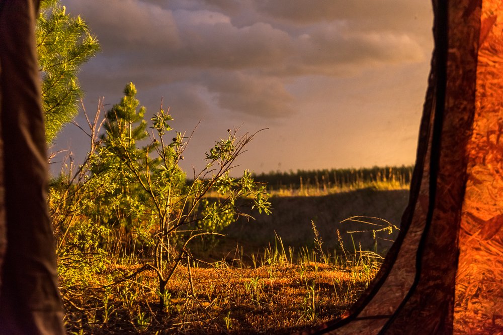 Утроперед грозой