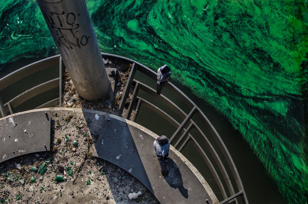 Смотрители