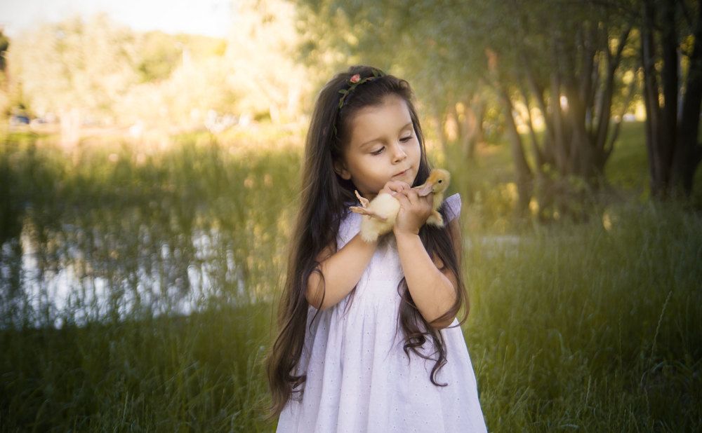 Сказка про утенка