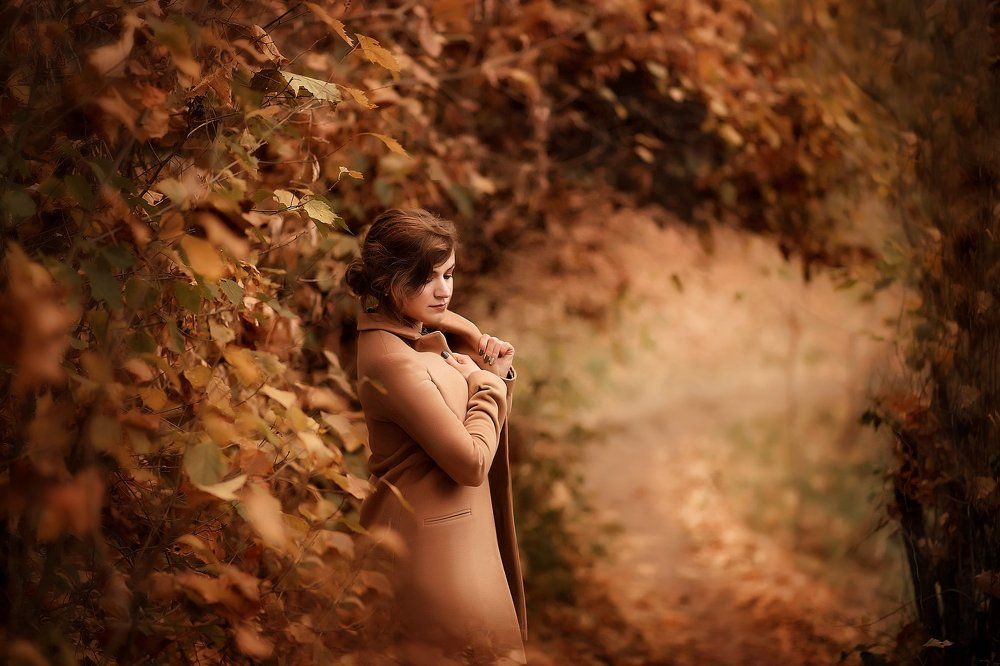 Тишина ноября