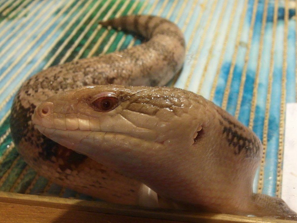 Photograph by Бондаренко Дмитрий