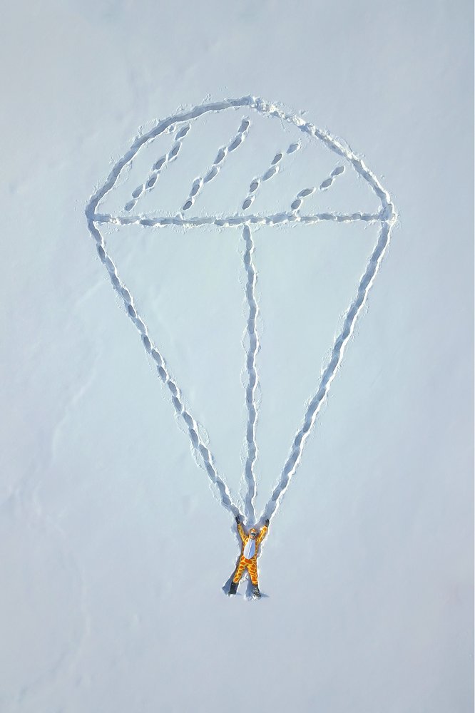 Жирафа тоже летают