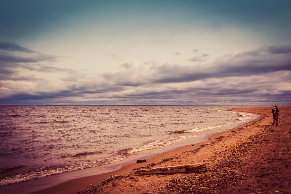 Финский залив