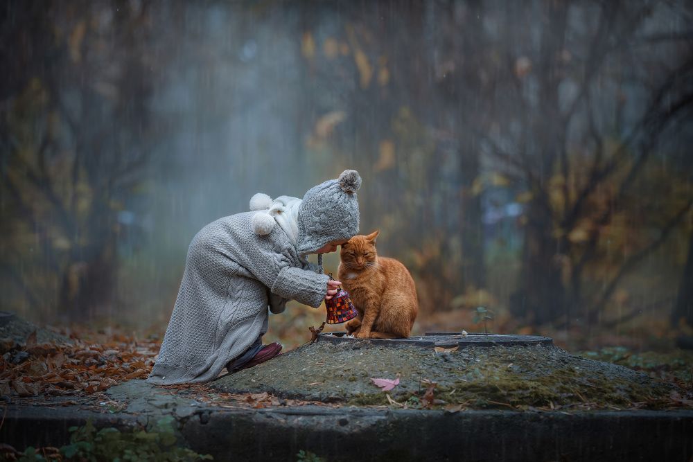 Пошли домой, рыжий!