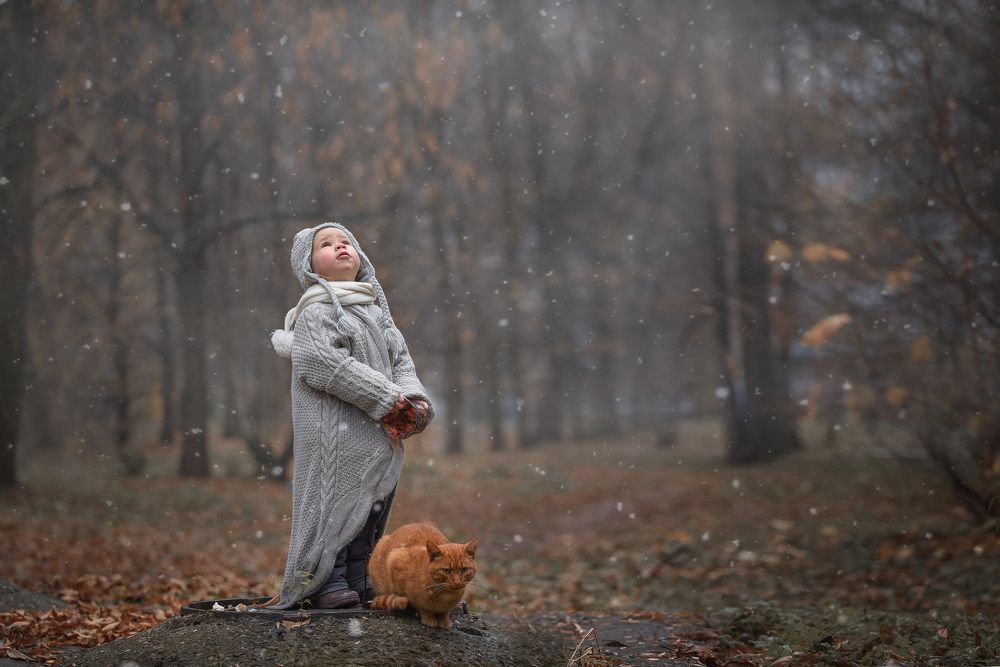 Первый снег