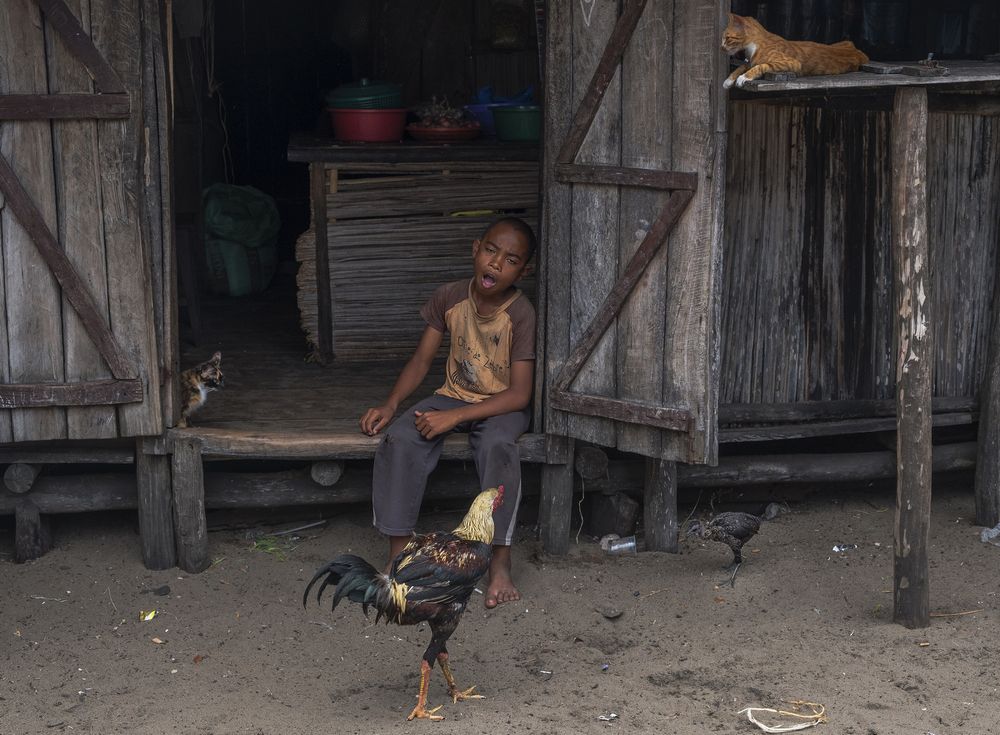 Скучное утро