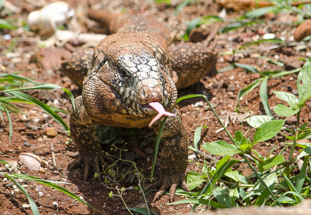 OBSERVING EVERYTHING