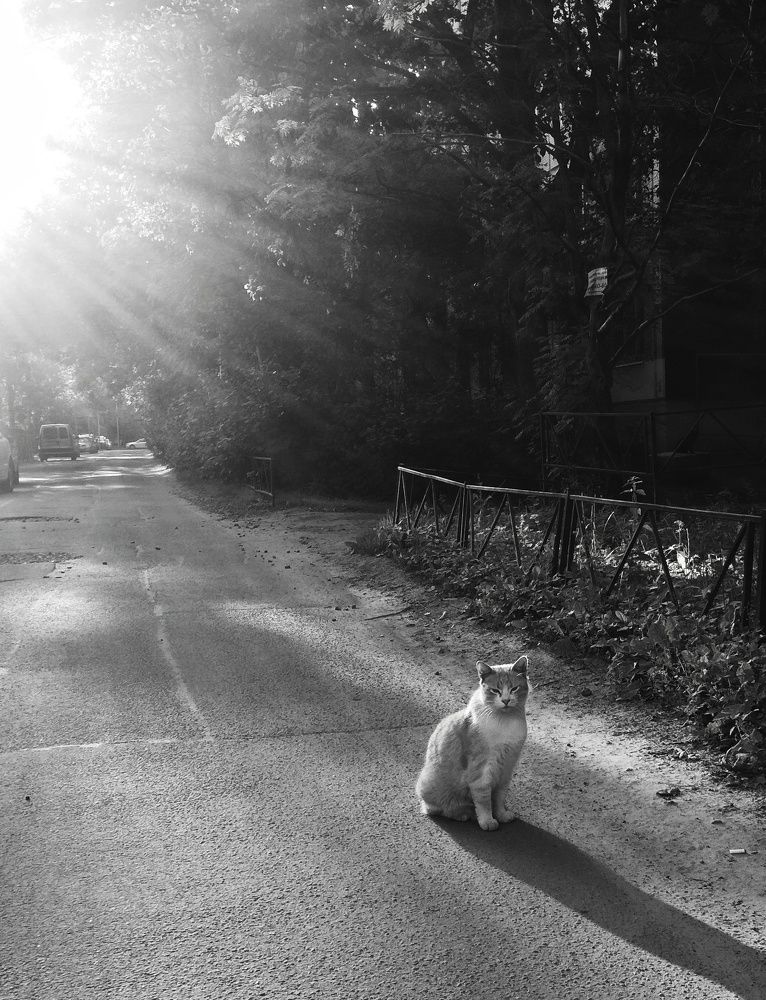 The warmth of the sun