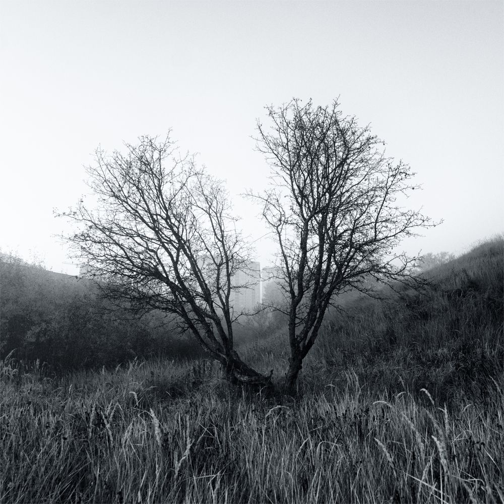 Город наступает