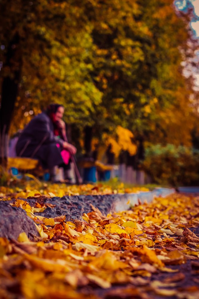 Жизнь в осенних красках