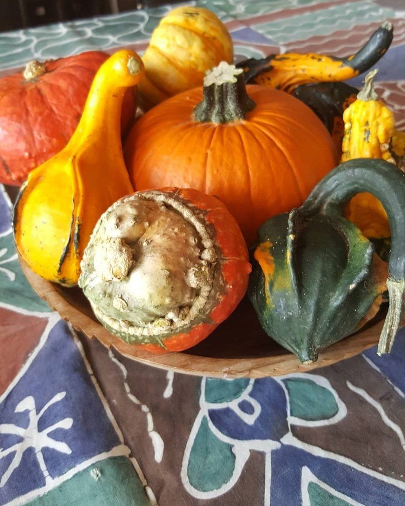 Photograph by CANAN BAŞOĞLU