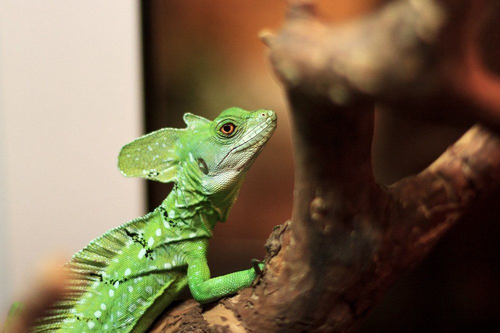 Photograph by Анастасия Оранжевая