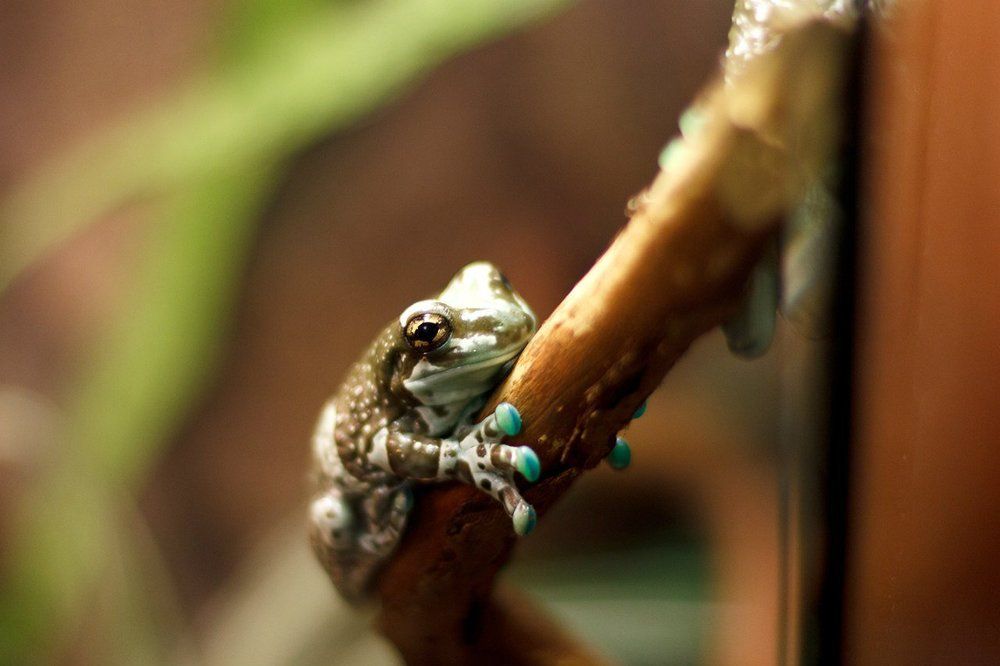 Photograph by Анастасия Оранжевая