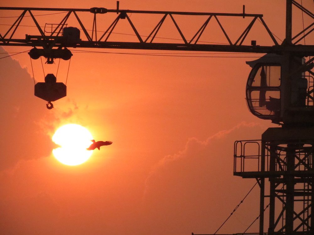 Every sunset brings new hope to fly high