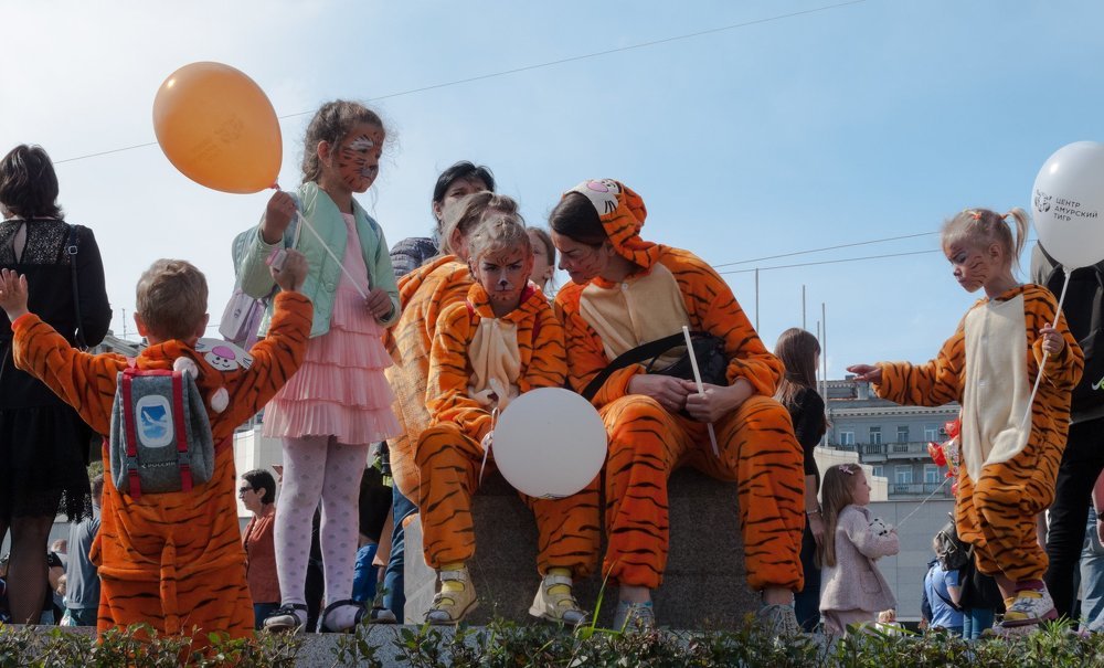 Тигрица и ее тигрята