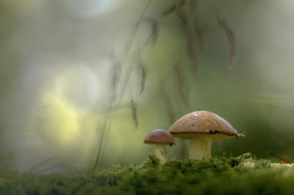 Ну вот , Брат и утро! Надеюсь , нас сегодня найдут!....