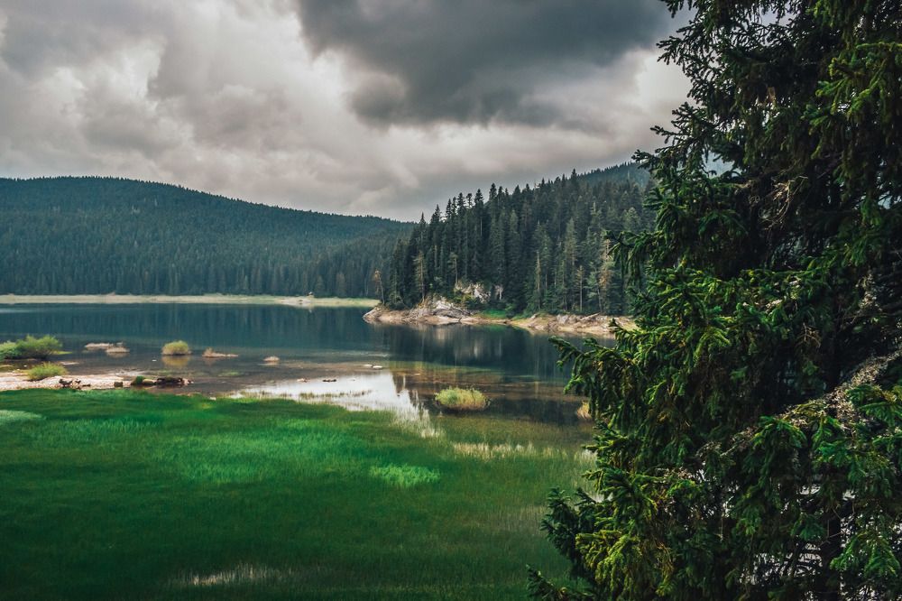 Photograph by Александр