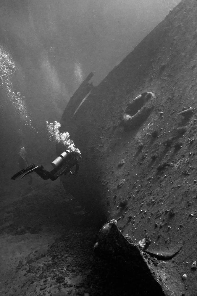 Рэки Красного моря