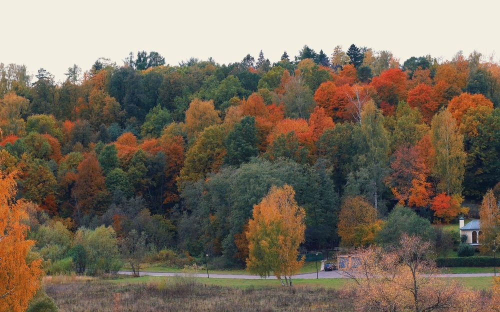 Осенняя пора