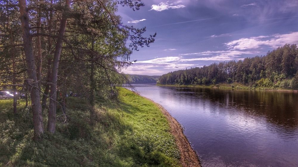 Beauty nature