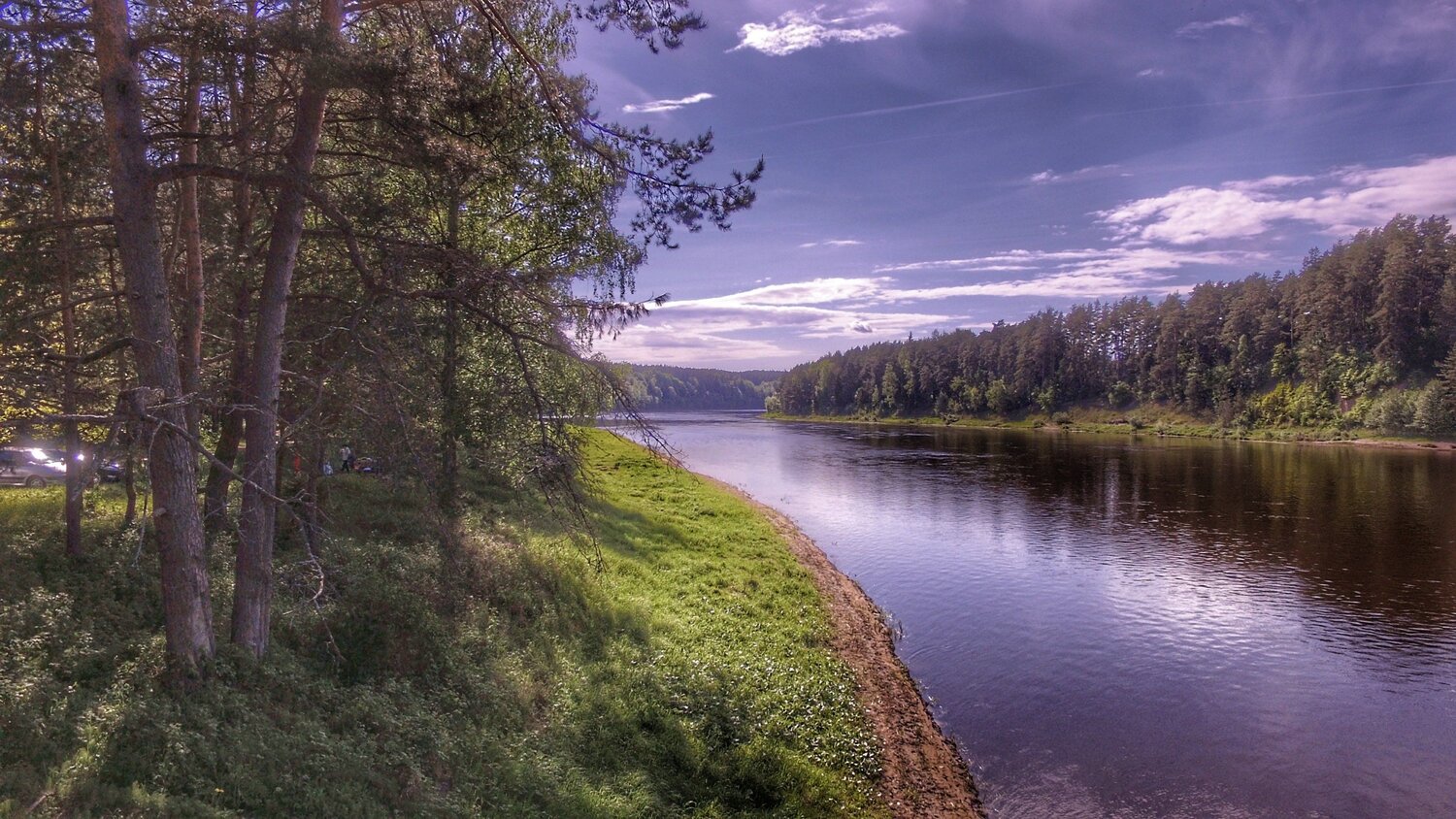 Beauty nature
