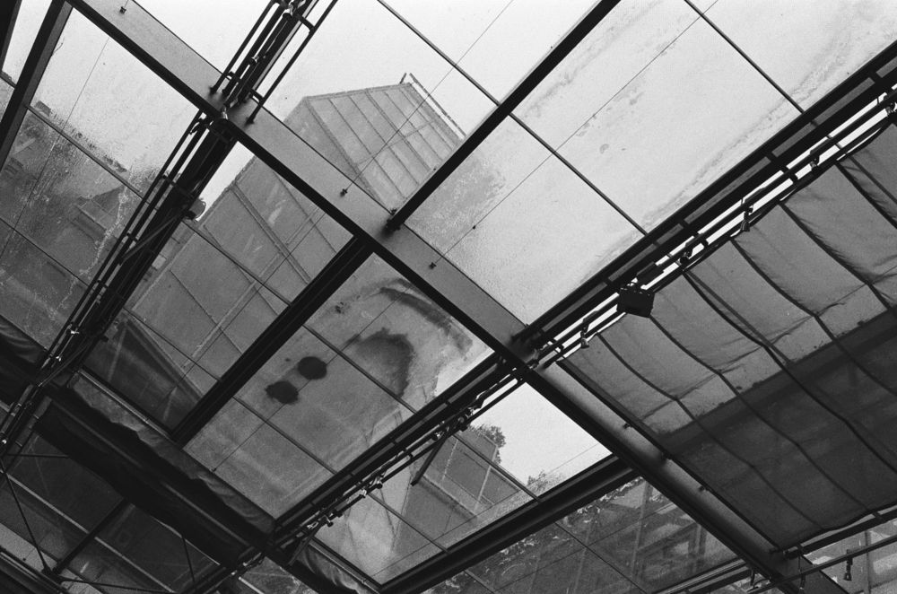 Photograph by Ирина Лобова