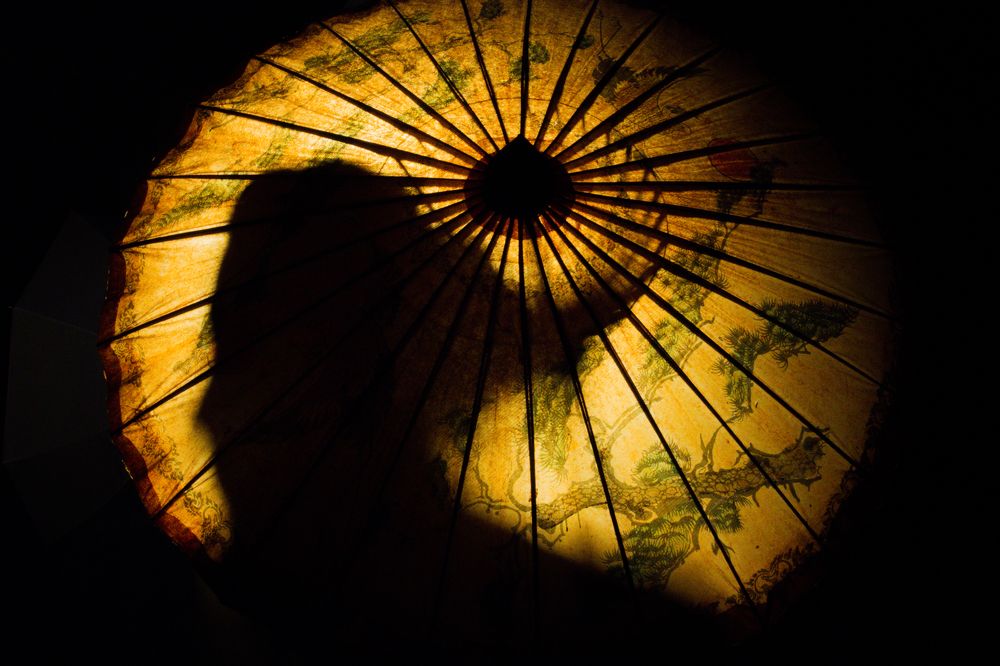 Теневой рисунок