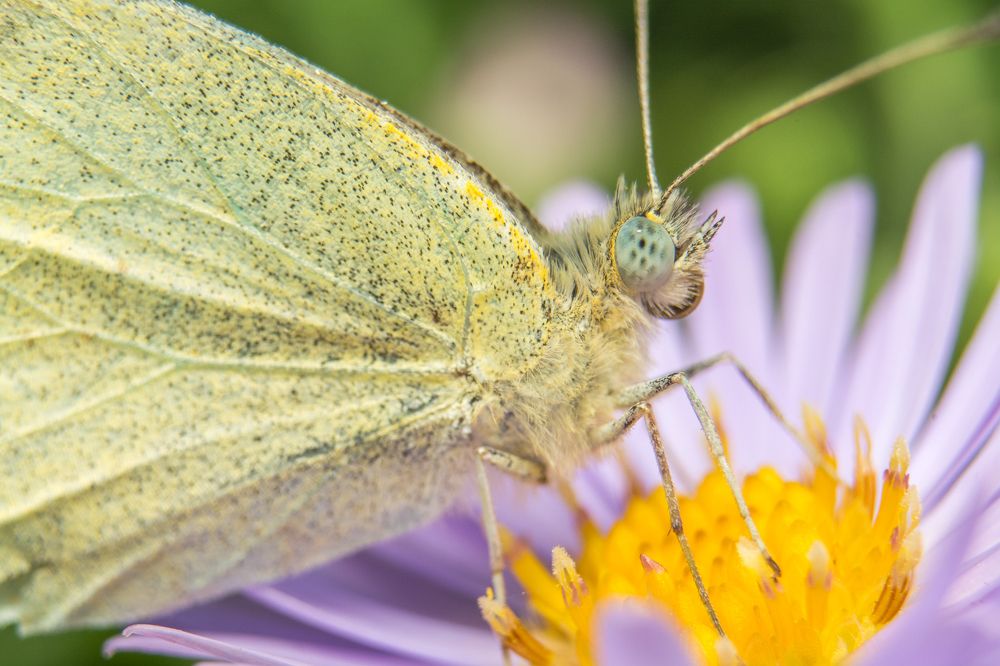 Photograph by Павел