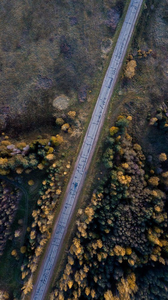 По дорогам золотой осени