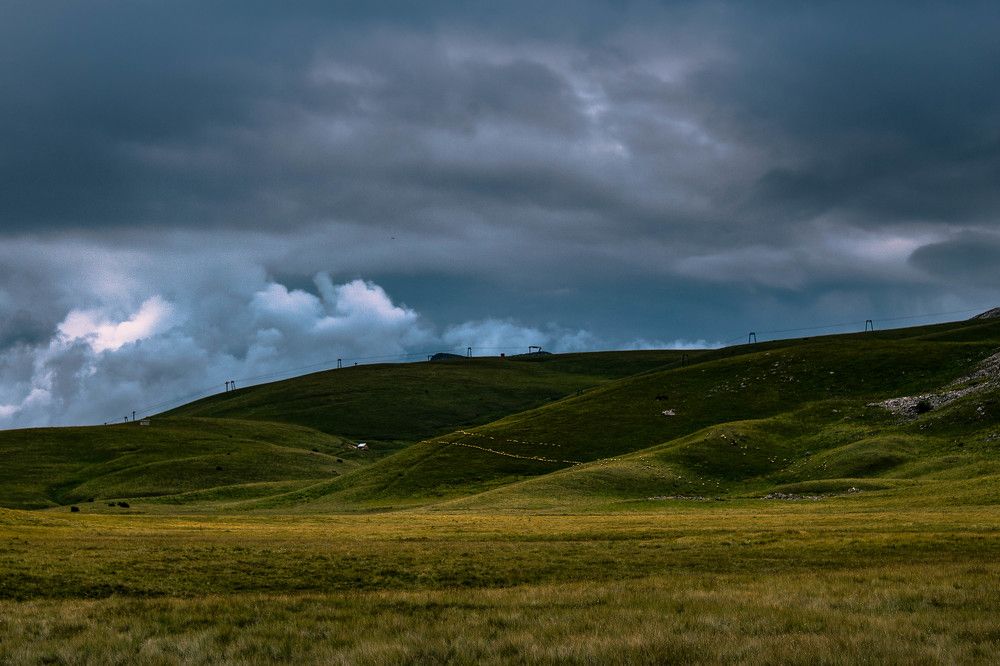 Photograph by Marija