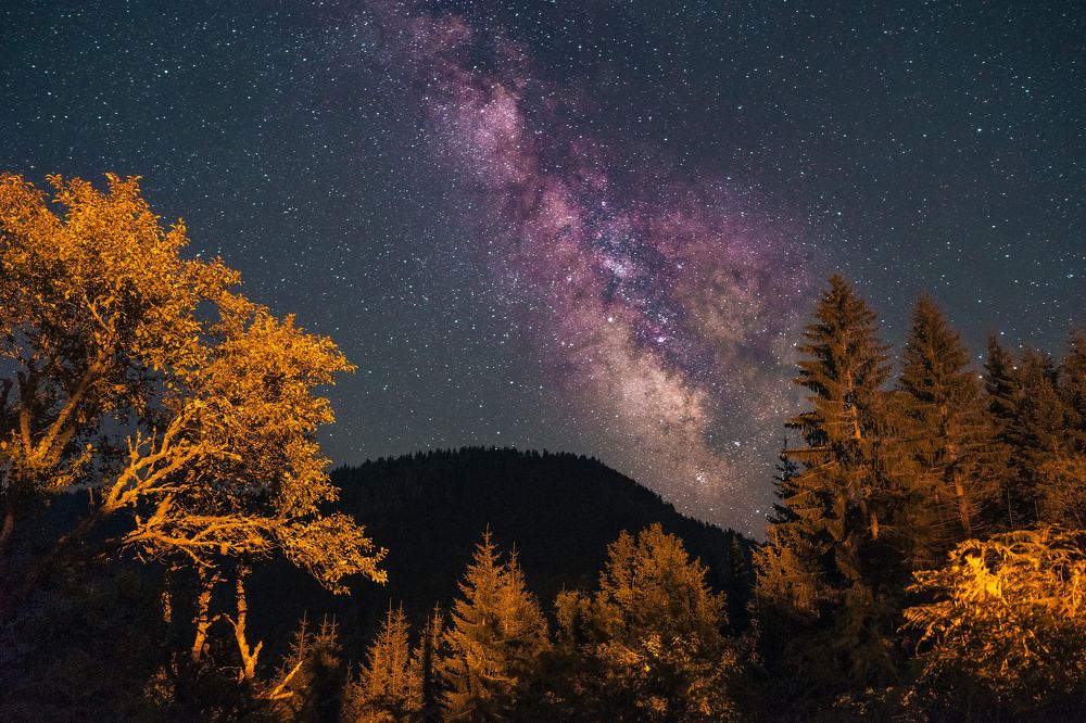 В горах Тары