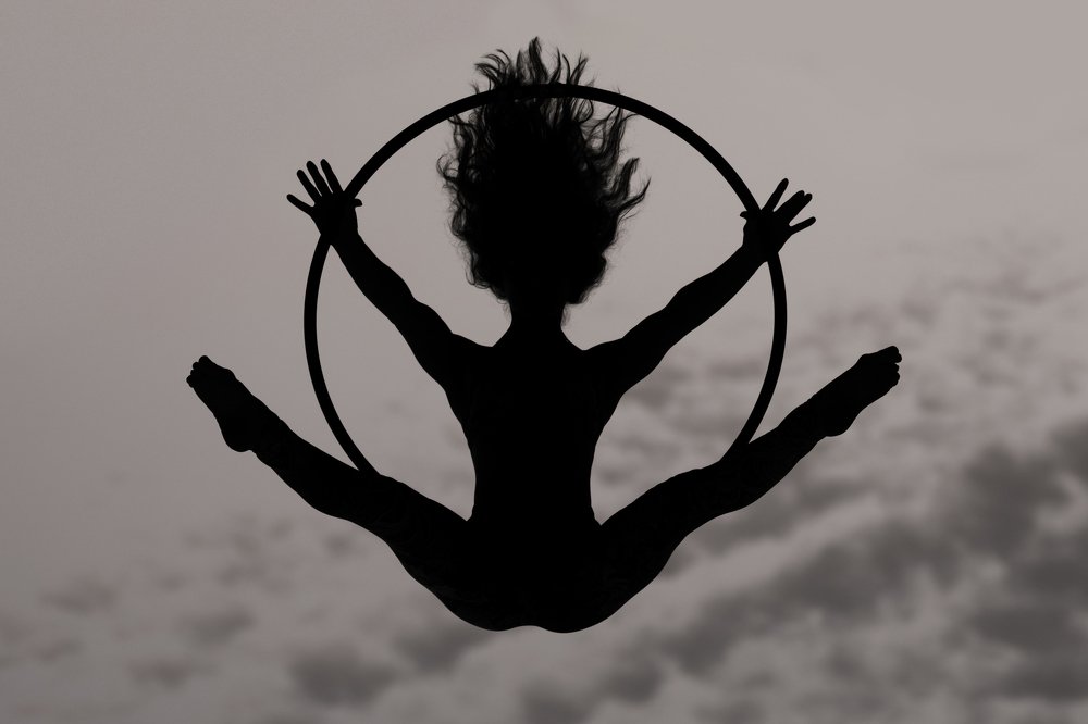 Витрувианский палёт