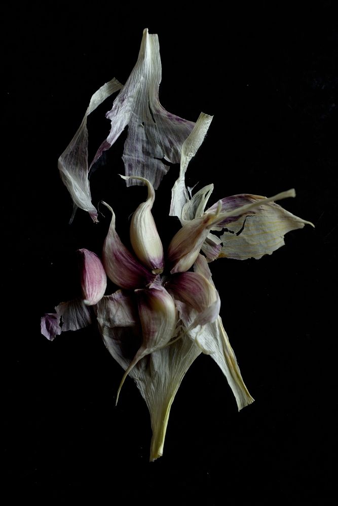 чесночная фантазия