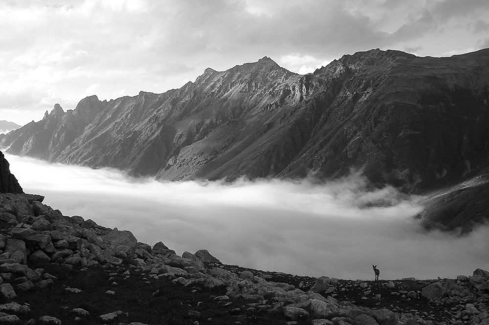 Облачный зефир