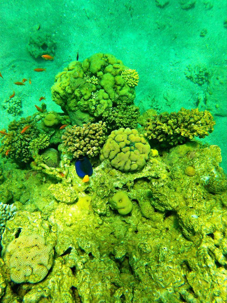 Photograph by Kandubasha