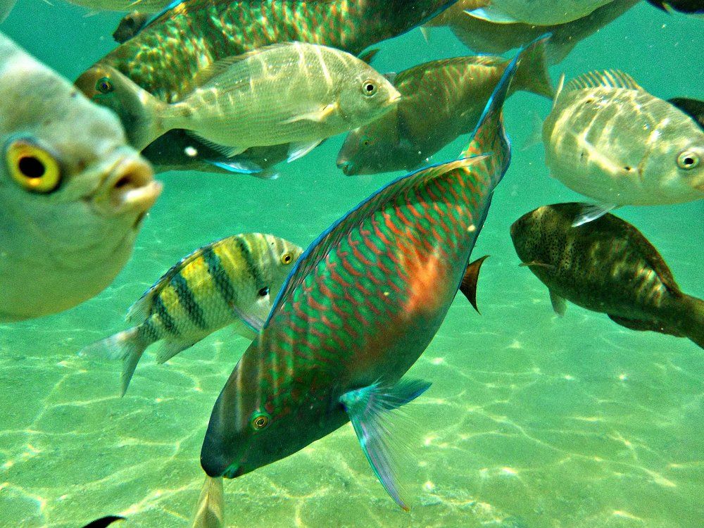 Photograph by Kandubasha