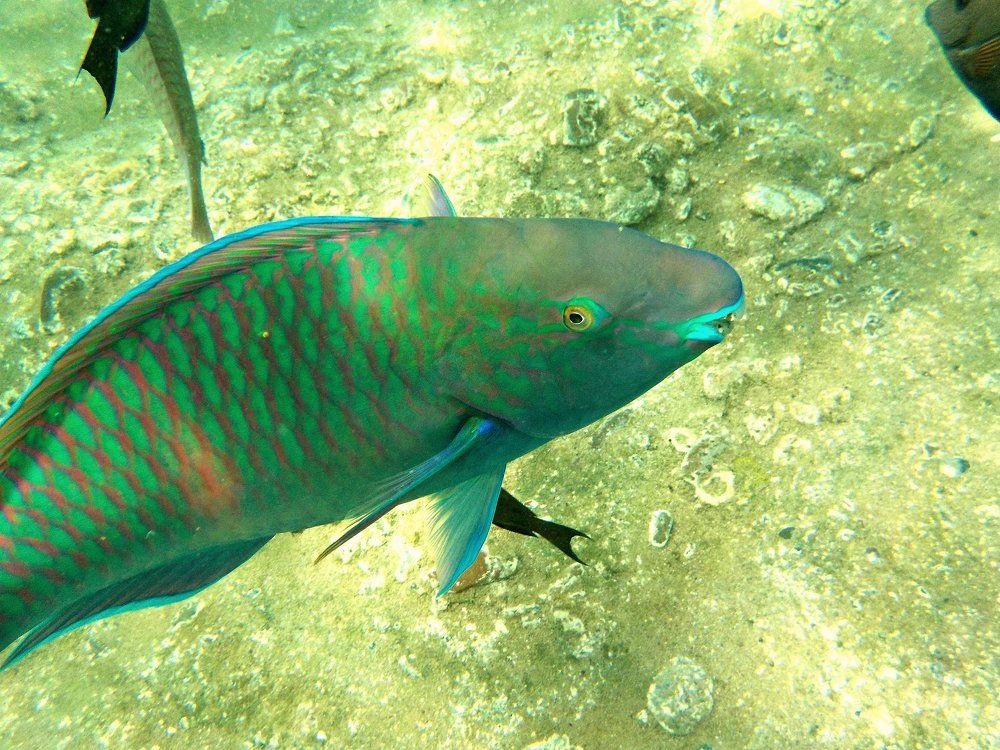 Photograph by Kandubasha