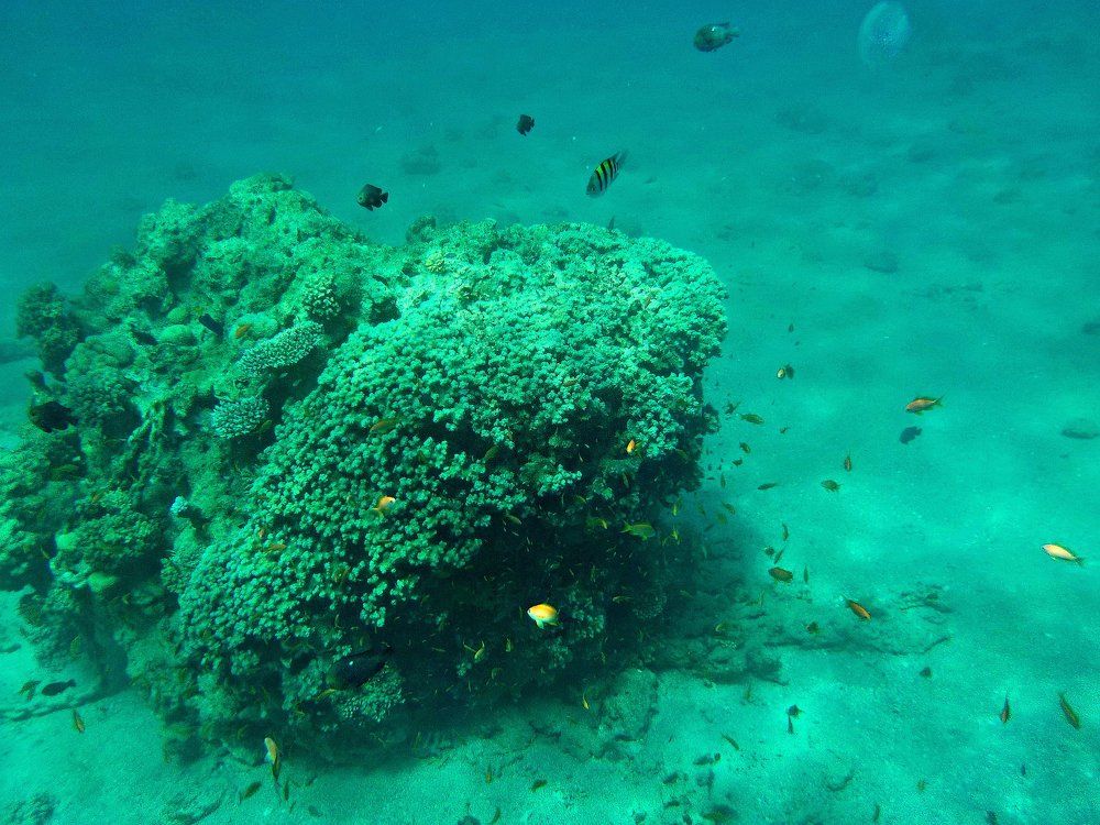 Photograph by Kandubasha