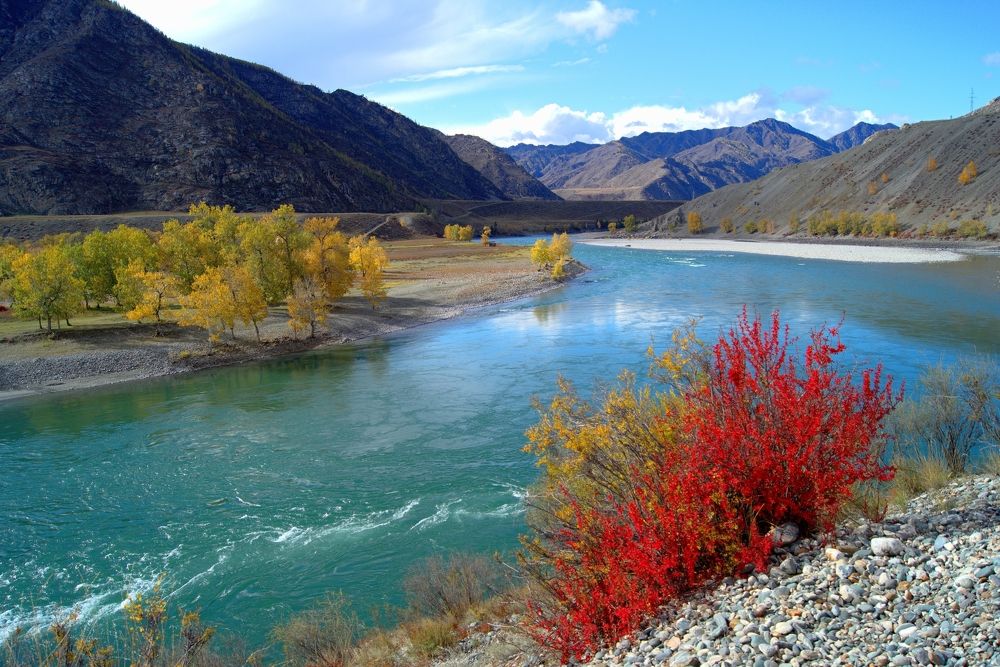 Photograph by Анастасия