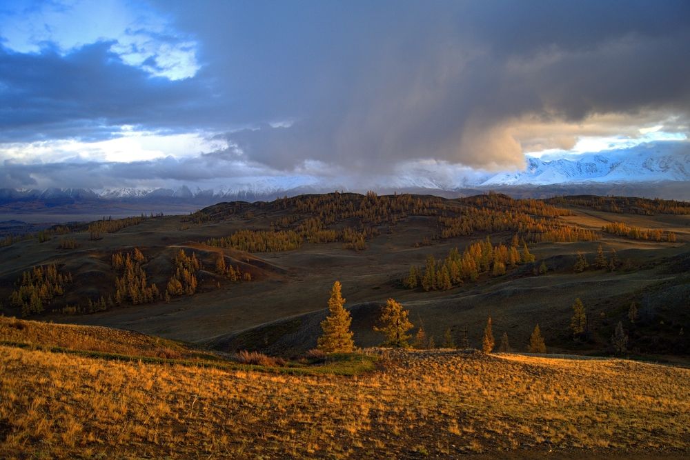 Photograph by Анастасия